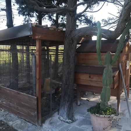 Villa Casa Vacanze Calathatubi - Locazione Turistica Breve Alcamo Marina