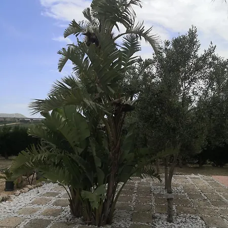 Casa Vacanze Calathatubi - Locazione Turistica Breve Alcamo Marina